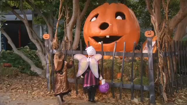 Louisville Zoo hosts the World&#39;s Largest Halloween Party through Oct. 30 - WDRB 41 Louisville News