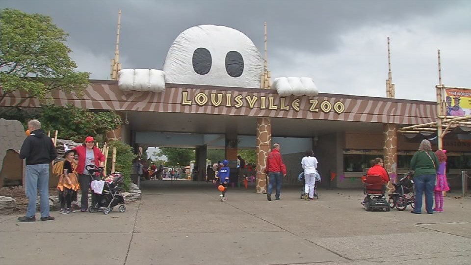 'World's Largest Halloween Party' kicks off at The Louisville Zoo