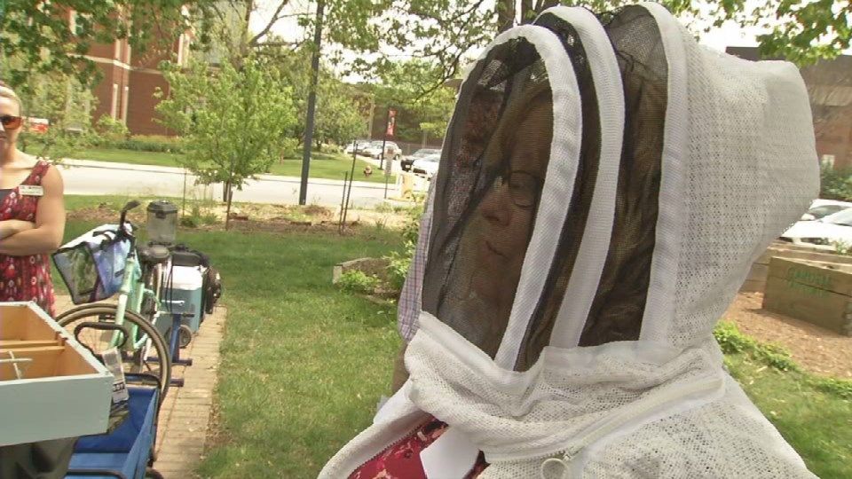 U of L hosts beekeeping as part of Earth Week WDRB 41