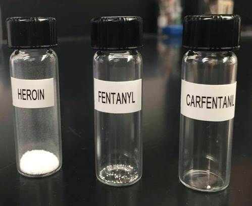 Each dose shows how much could kill the average adult