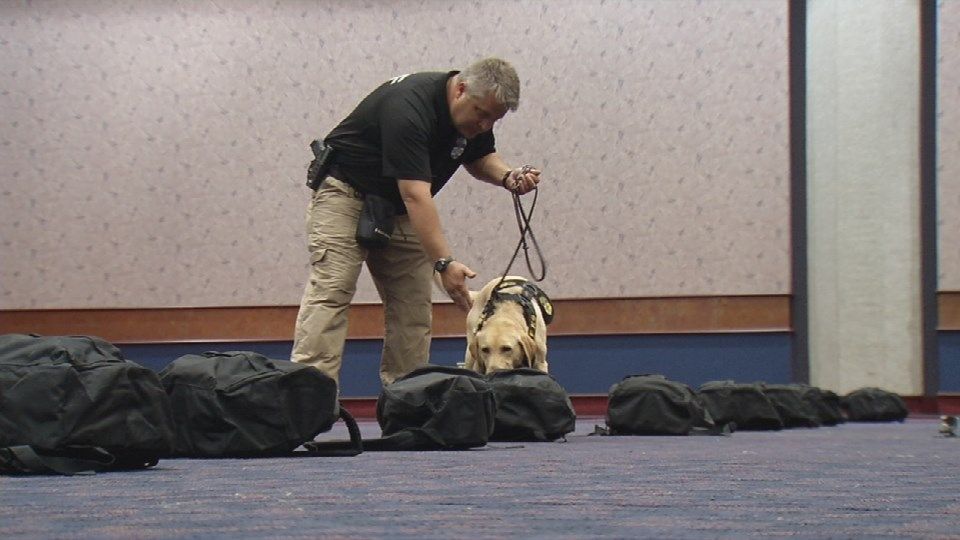 30 bombsniffing dogs certified at ATF training exercise in Louisville WDRB 41 Louisville News