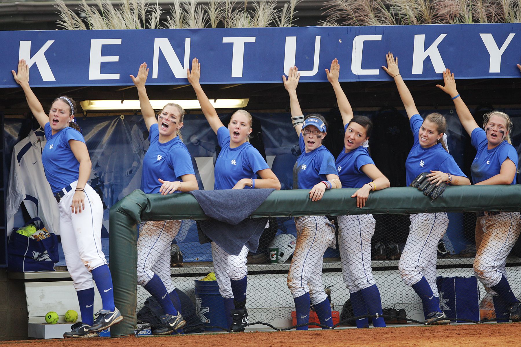 UK Softball team set to host NCAA Super Regional WDRB 41 Louisville News