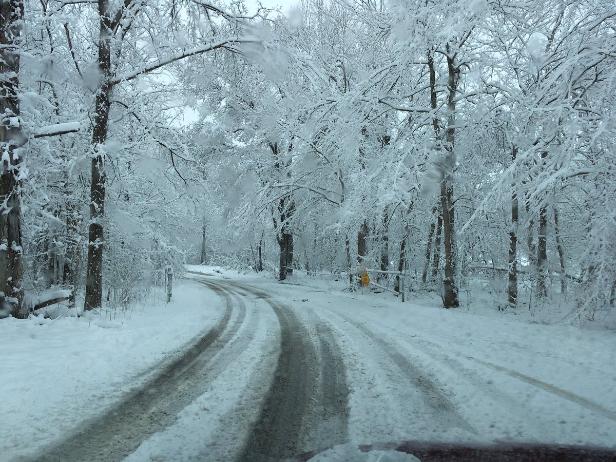 IMAGES: Winter Storm Blankets Louisville And Surrounding Area With ...