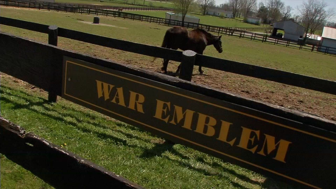 Old Friends Farm is home to many retired thoroughbreds including 2002 Kentucky Derby winner War Emblem.