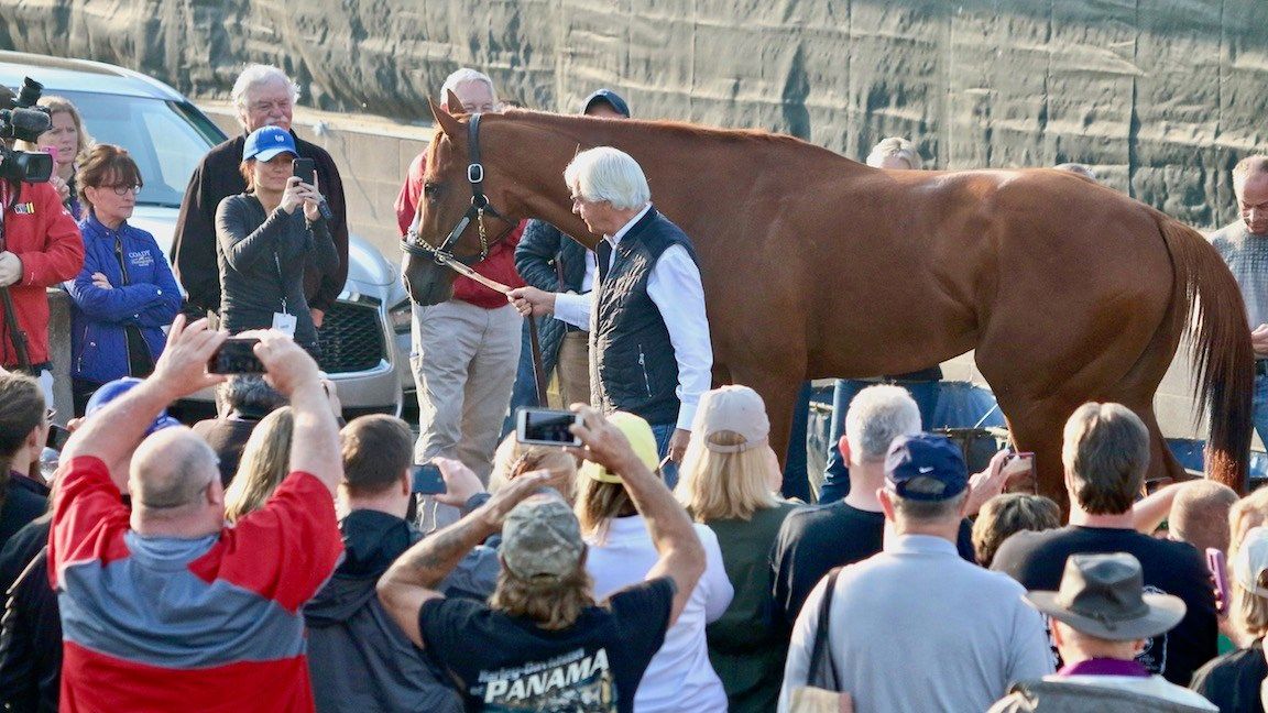 Bob Baffert gives media and spectators a quick glimpse of 2018 Kentucky Derby winner Justify the morning after winning the race. (WDRB photo by Eric Crawford)