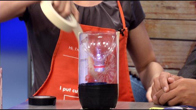 Easy Inexpensive Homemade Stink Bug Trap Really Works Wdrb 41 Louisville News 3243