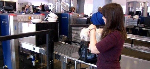 TSA officials offer advice on going through airport security with pets