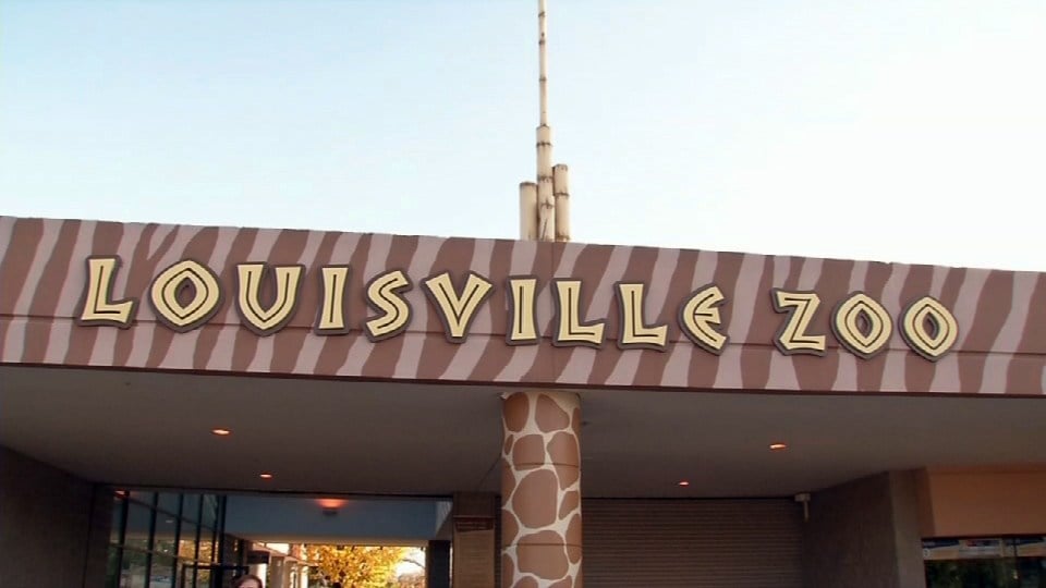 Louisville Zoo plans major, $180 million expansion - WDRB 41 Louisville News