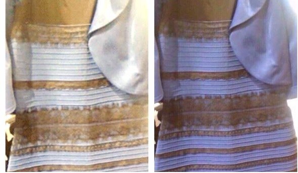 What color is this dress? The debate is taking over social media - WDRB ...